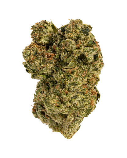 Exotics Han Solo Burger indica cannabis strain flower bud