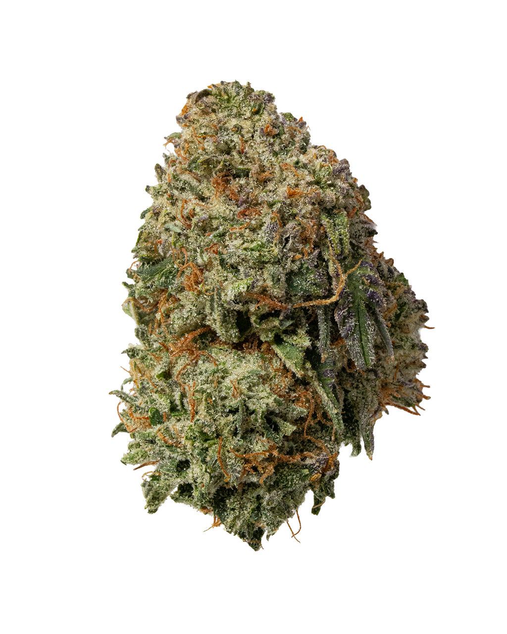 Exotics Hells Angels OG cannabis indica hybrid strain flower