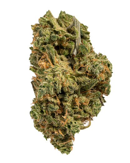 Exotics Mafia Funeral hybrid cannabis strain flower bud