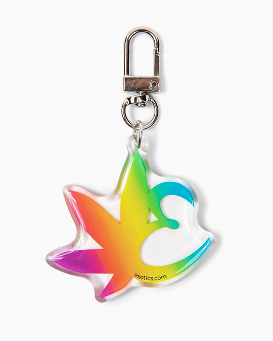 Exotics rainbow monogram logo keychain