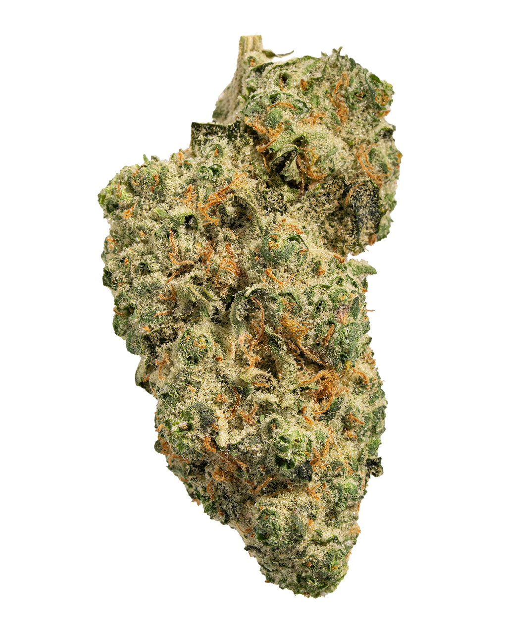 Exotics OG Kush cannabis hybrid strain flower