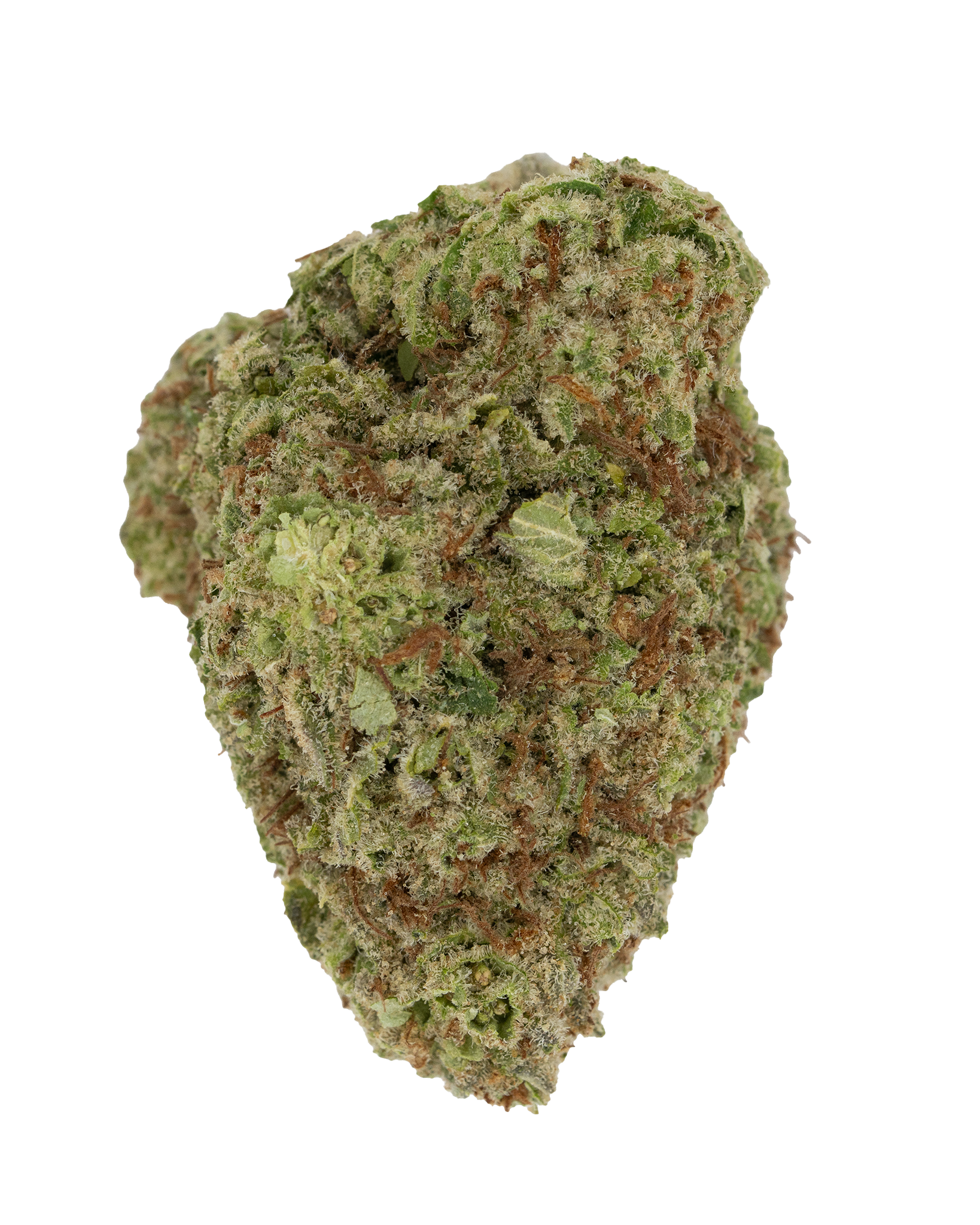Exotics Papaya Punch cannabis indica hybrid strain flower