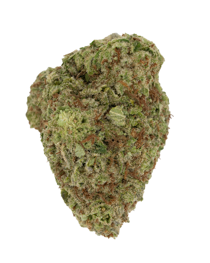 Exotics Papaya Punch cannabis indica hybrid strain flower