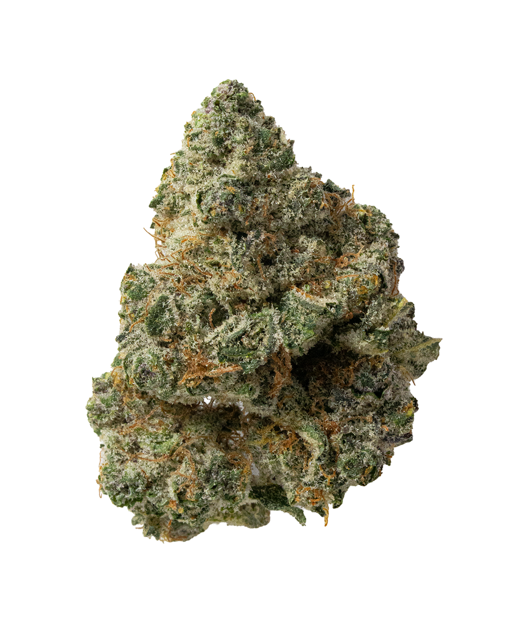 Exotics Point Break indica cannabis strain flower bud