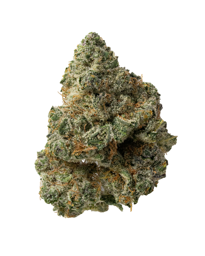 Exotics Point Break indica cannabis strain flower bud