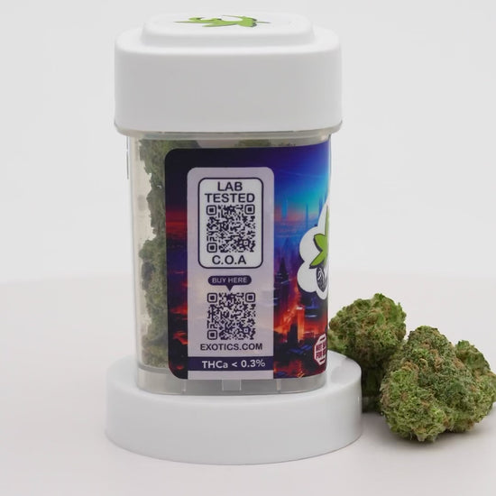 Exotics Green Goblin cannabis sativa hybrid strain