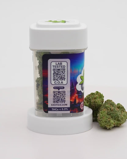 Exotics Green Goblin cannabis sativa hybrid strain