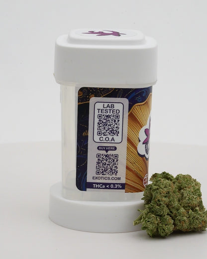 Exotics Ace of Spades cannabis indica strain carousel video