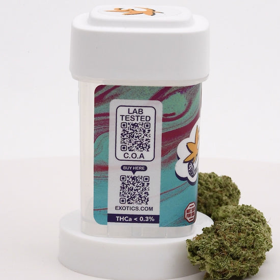 Exotics Apricot Jelly cannabis sativa strain carousel video