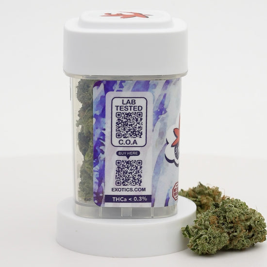 Exotics Hells Angels OG cannabis indica hybrid strain