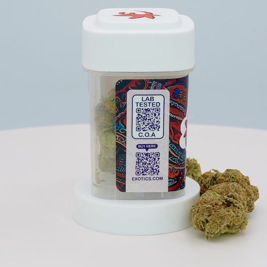 Exotics Chivo cannabis hybrid strain