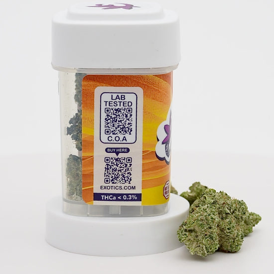 Exotics Purple Milk cannabis hybrid strain