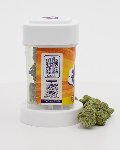 Exotics Purple Milk cannabis hybrid strain