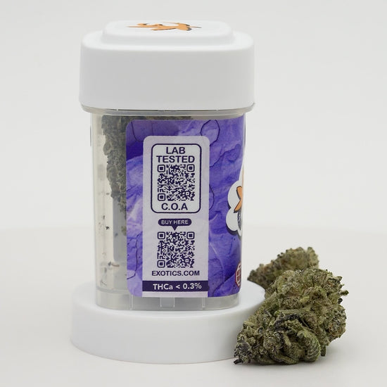 Exotics Grape Cream cannabis hybrid strain