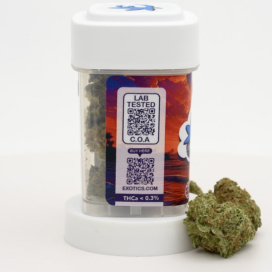 Exotics Euphoria sativa hybrid cannabis strain carousel video