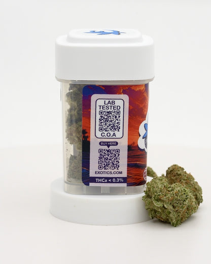 Exotics Euphoria sativa hybrid cannabis strain carousel video