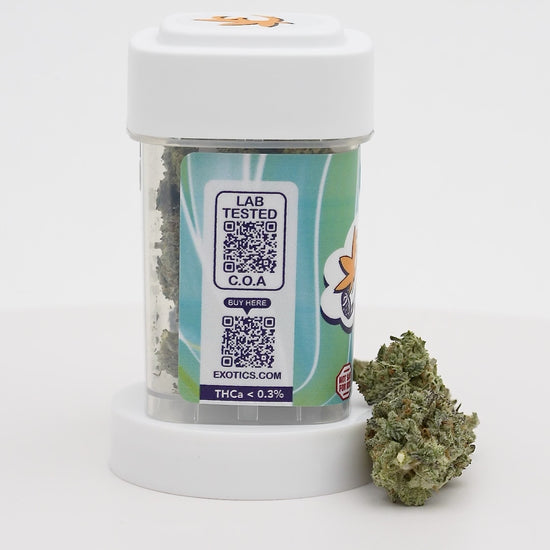 Exotics RS11 indica hybrid cannabis strain