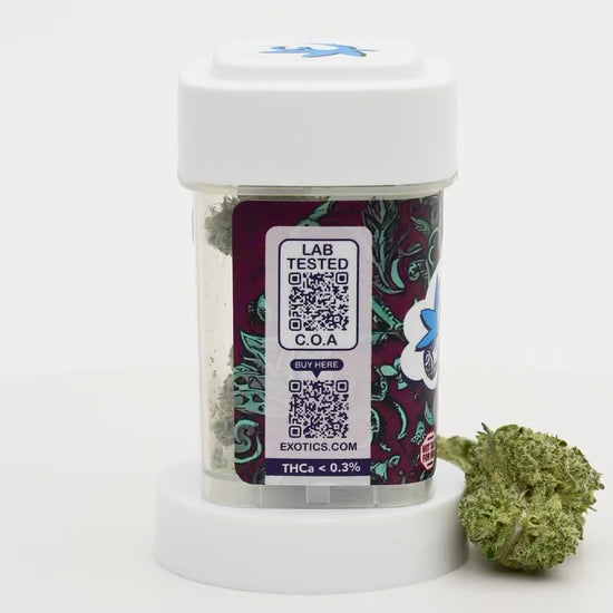 Exotics Gary Payton hybrid cannabis strain carousel video