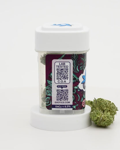 Exotics Gary Payton hybrid cannabis strain carousel video