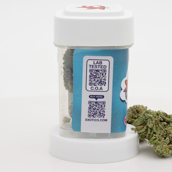 Exotics Zoap cannabis hybrid strain