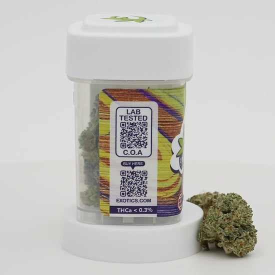 Exotics Greasy Runtz cannabis hybrid strain