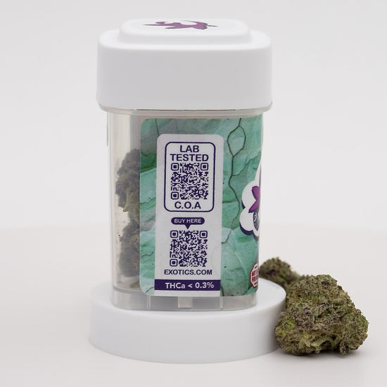 Exotics Lava Cake cannabis indica hybrid strain