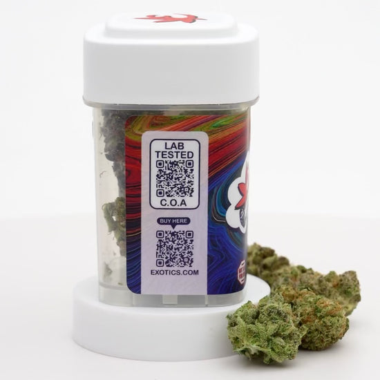 Exotics Apple Fritter cannabis hybrid strain