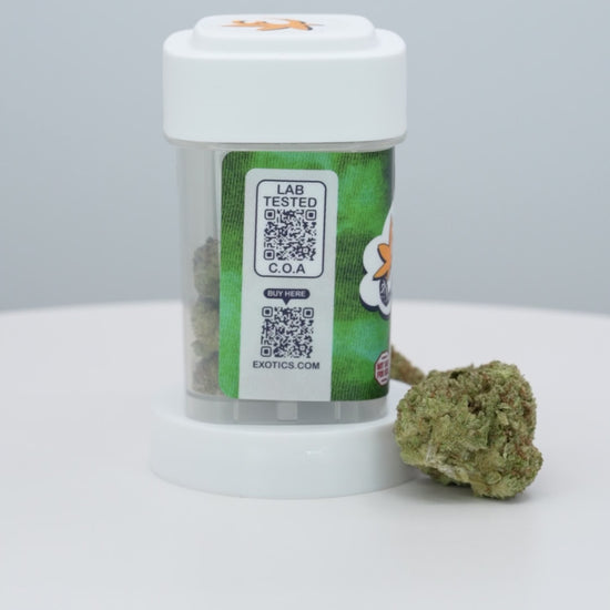Exotics Papaya Punch cannabis indica hybrid strain