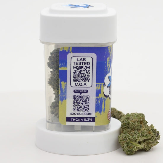Exotics Point Break indica cannabis strain carousel video