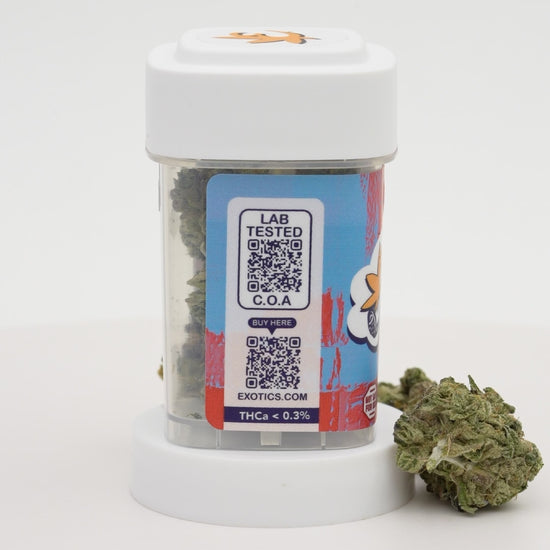 Exotics Cheetoz cannabis sativa hybrid strain