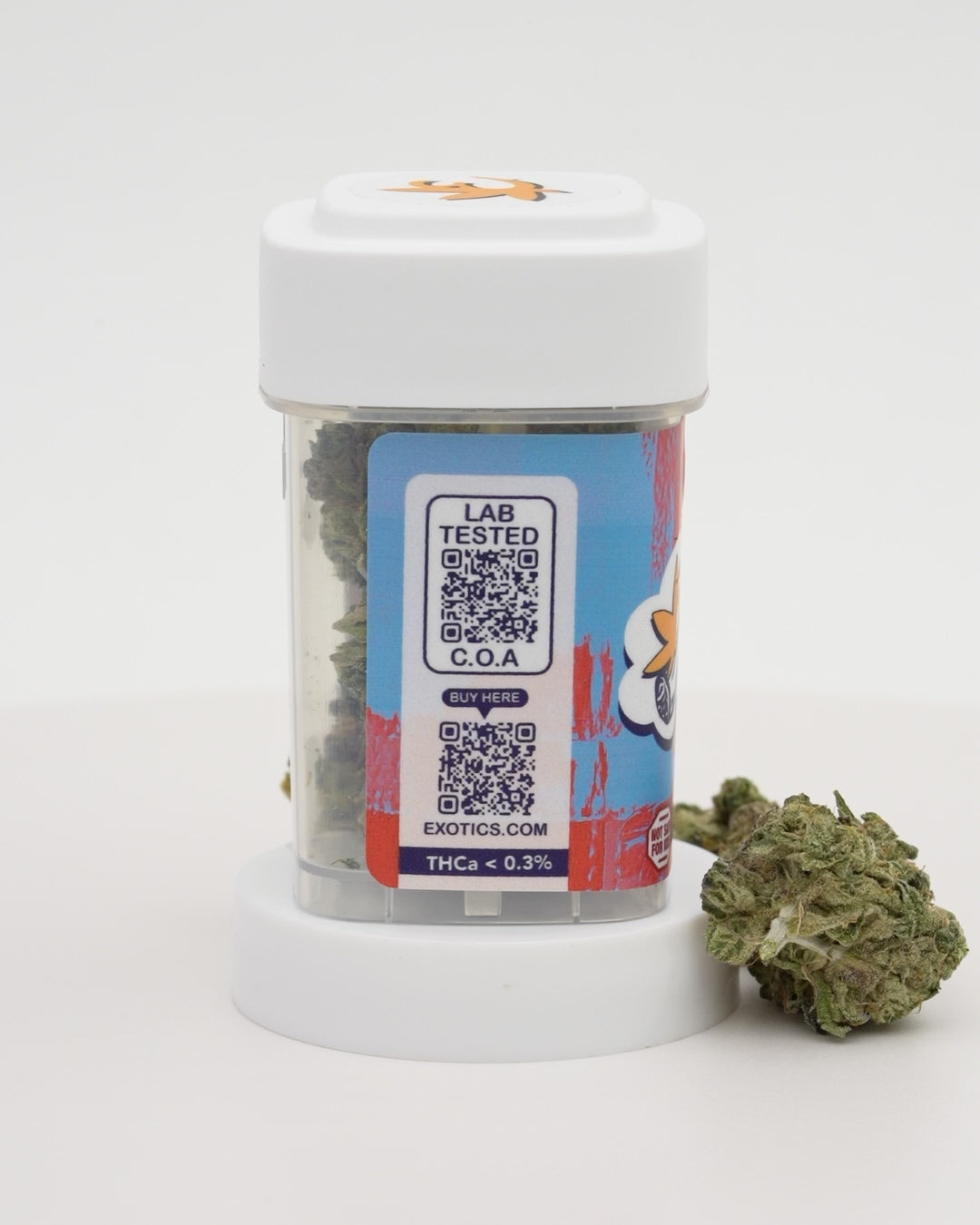 Exotics Cheetoz cannabis sativa hybrid strain