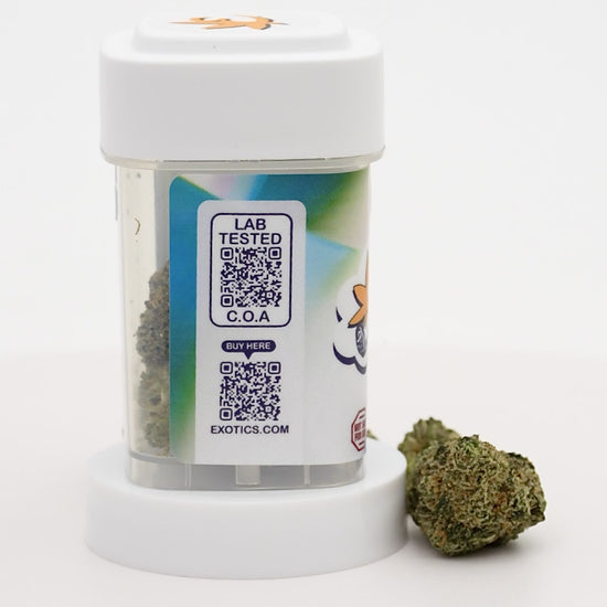 Exotics Flo Ruit cannabis hybrid strain carousel video