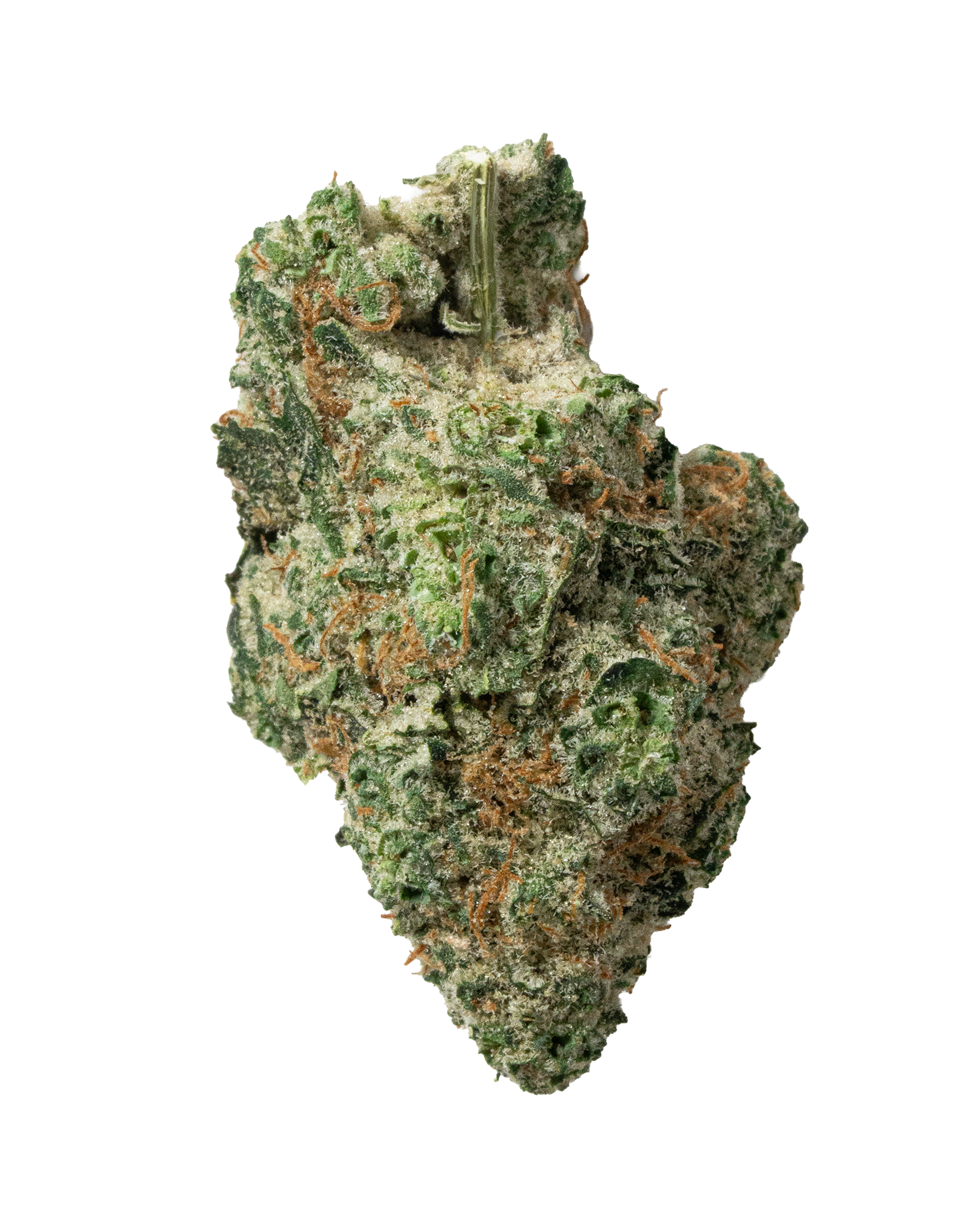 Exotics Purple Milk cannabis hybrid strain flower