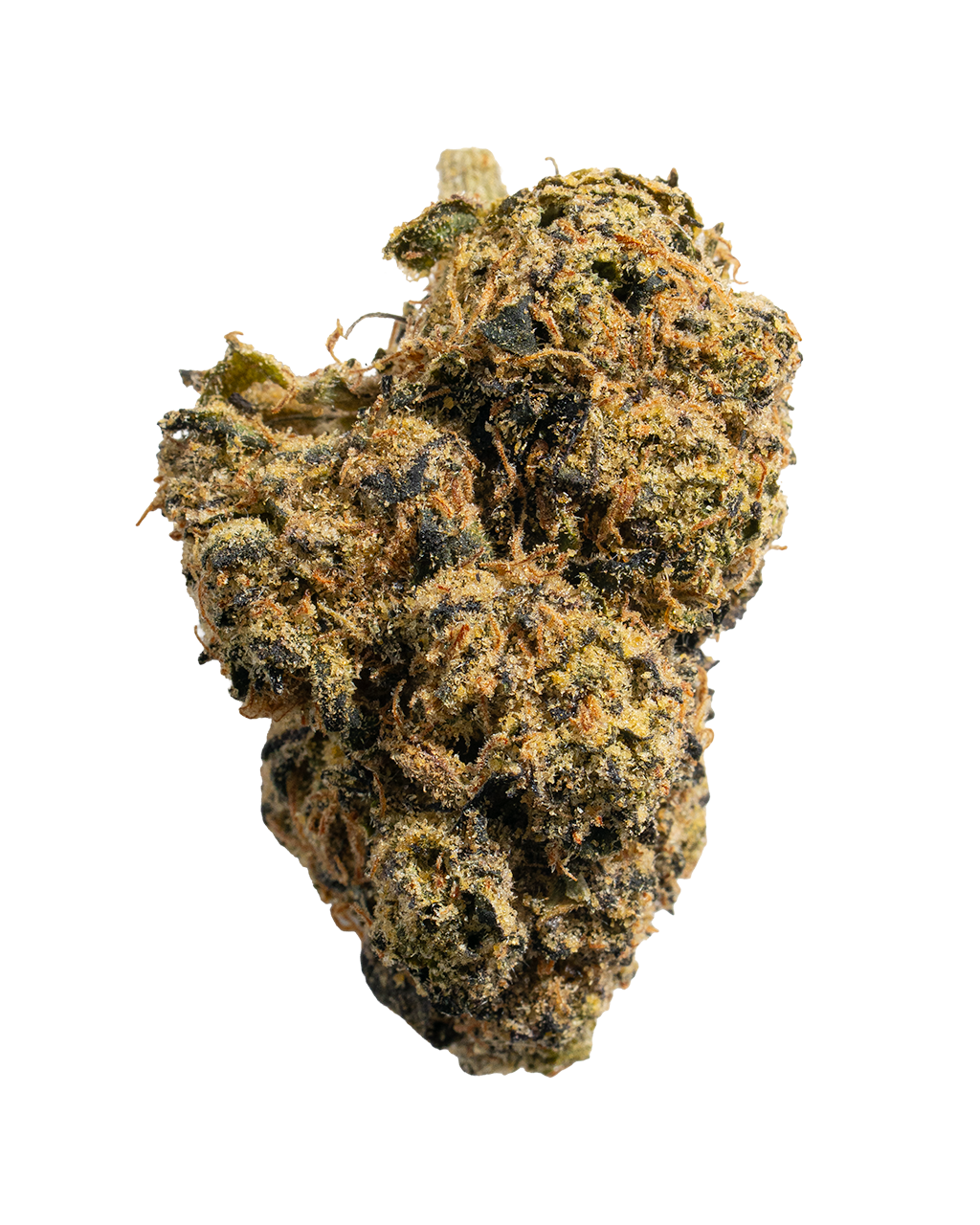 Exotics Red Runtz hybrid cannabis strain flower bud