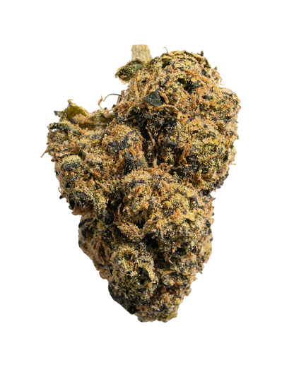 Exotics Red Runtz hybrid cannabis strain flower bud