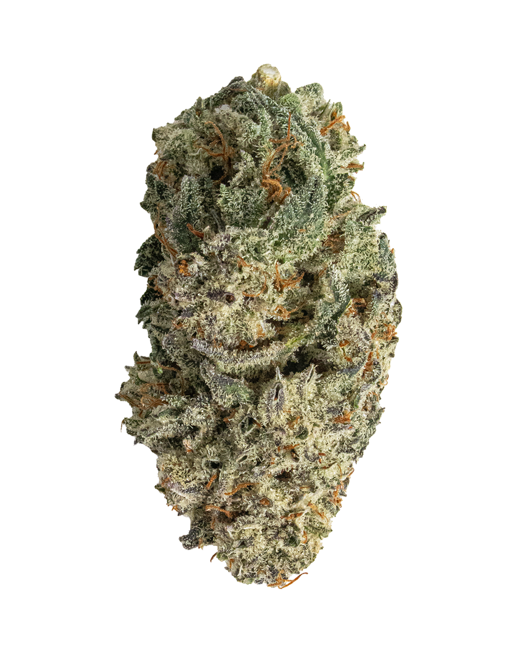 Exotics RS11 indica hybrid cannabis strain flower