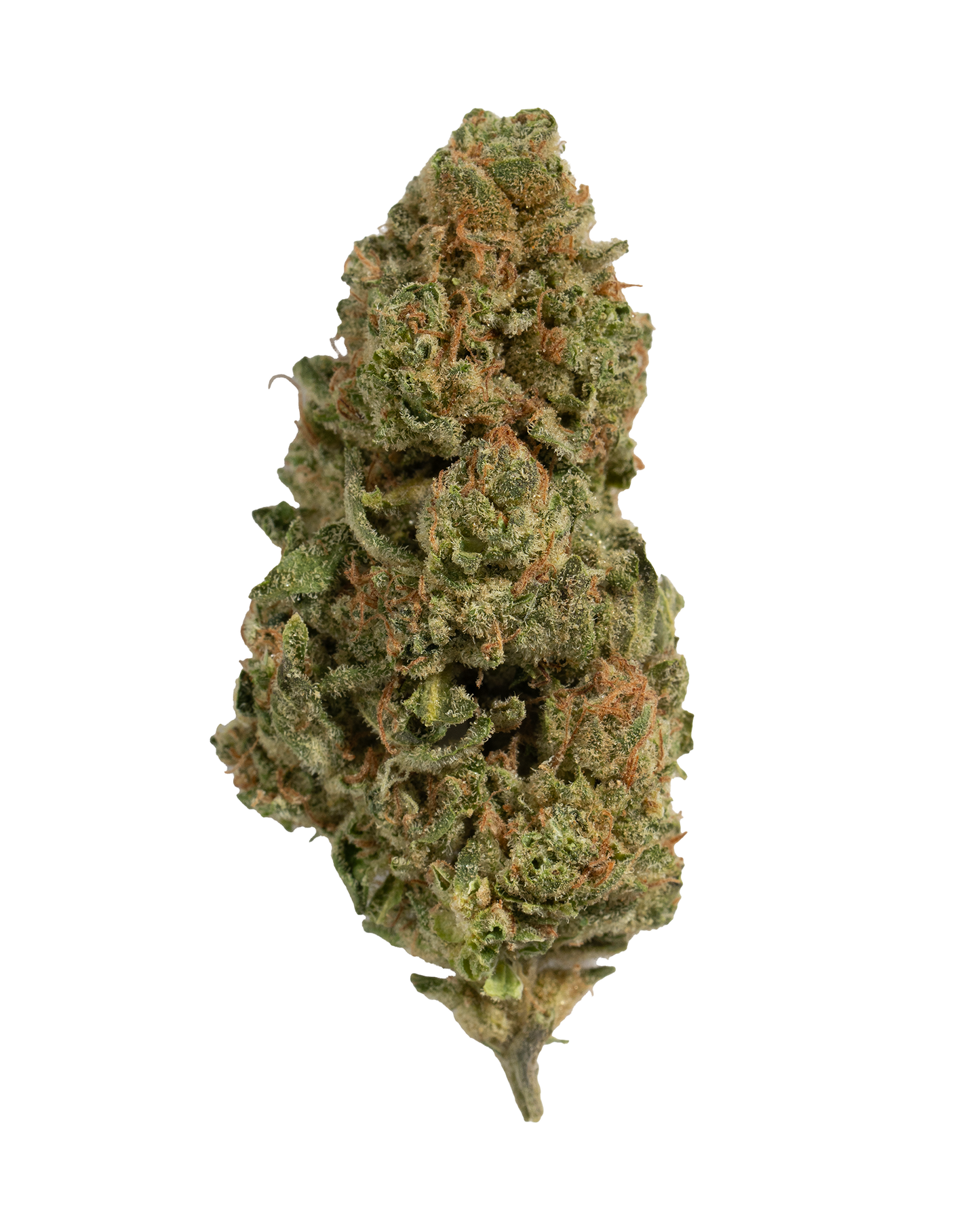 Exotics Smackerz cannabis indica hybrid strain flower