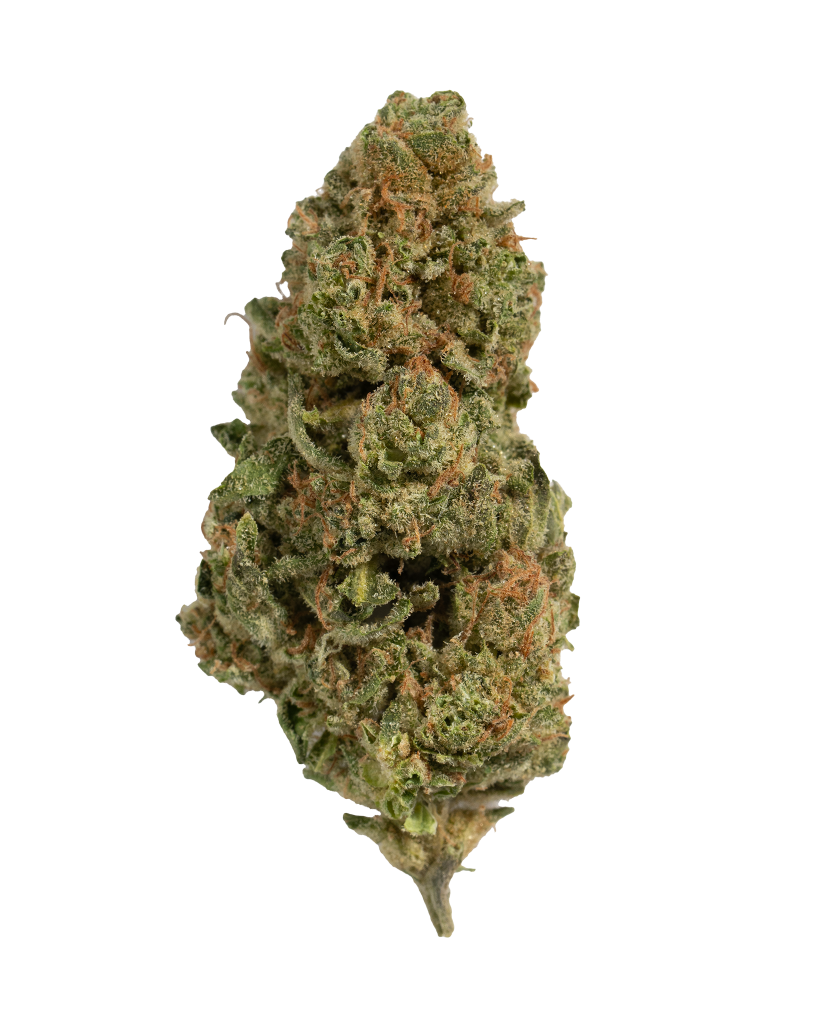 Exotics Smackerz cannabis indica hybrid strain flower