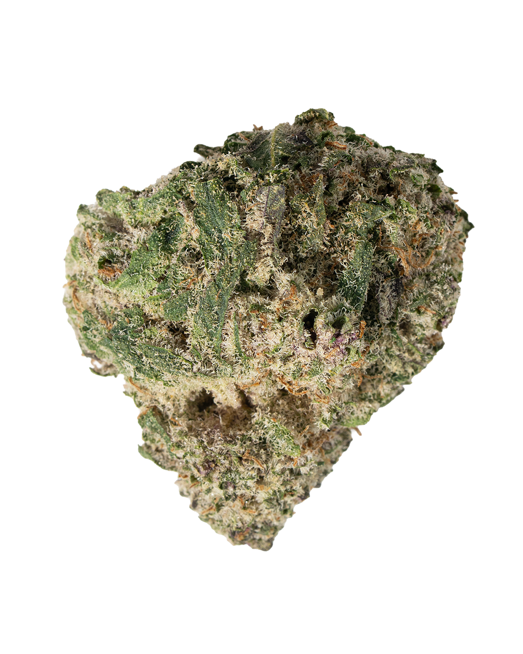 Exotics Sticky Glue hybrid cannabis strain flower bud