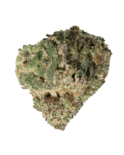 Exotics Sticky Glue hybrid cannabis strain flower bud