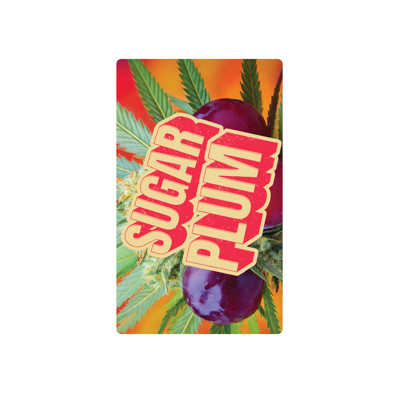 Exotics Sugar Plum sativa cannabis strain label artwork
