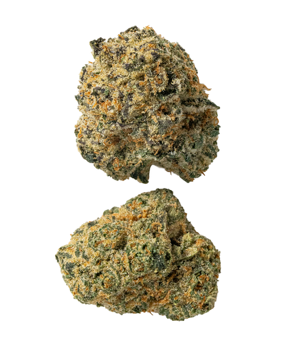 Exotics Sugar Plum sativa cannabis strain flower buds