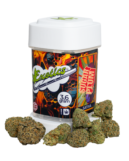Exotics Sugar Plum sativa cannabis strain container and buds
