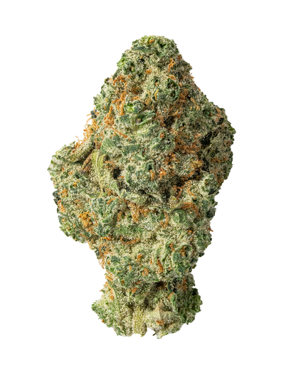 Exotics Super Boof hybrid cannabis strain flower bud