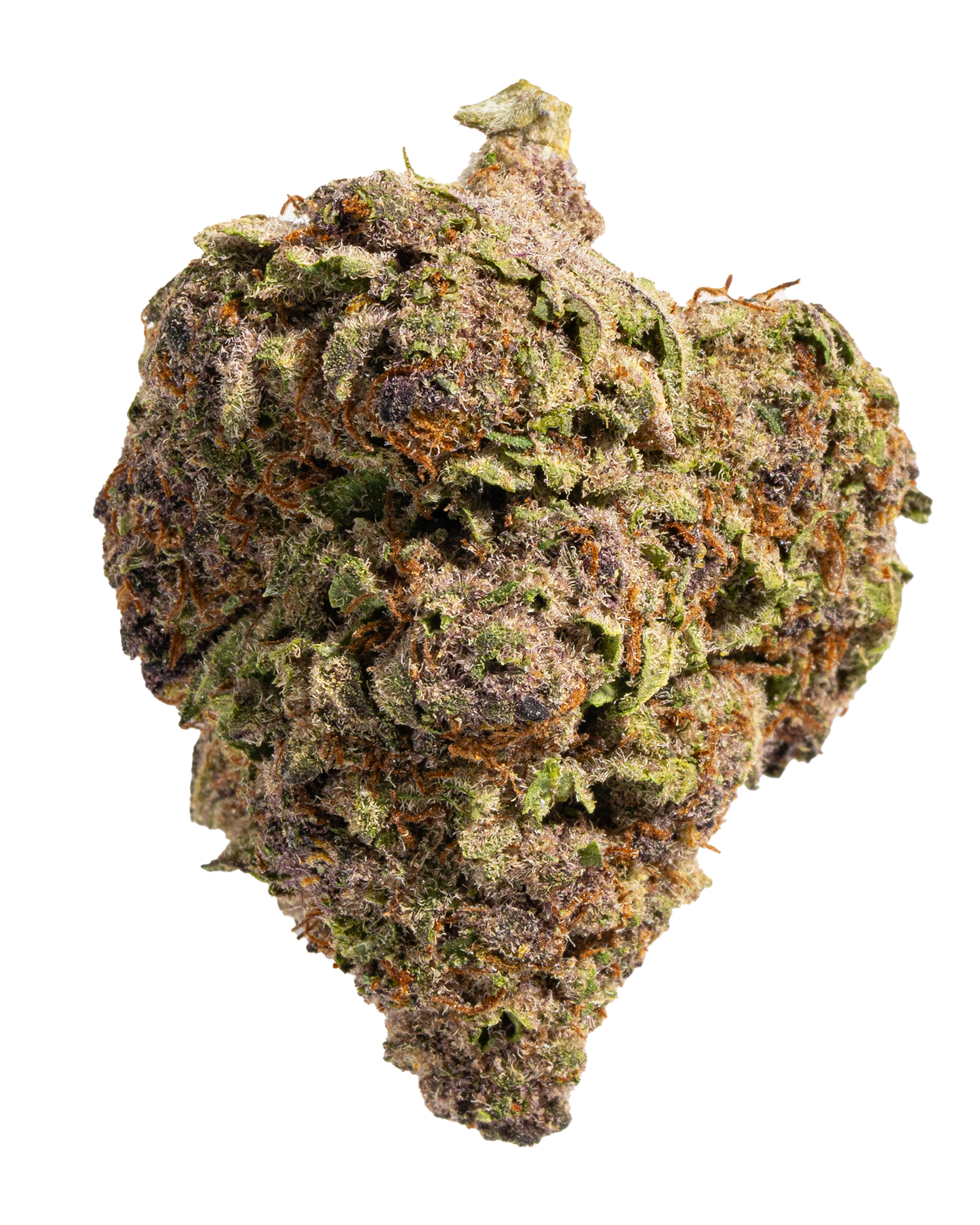 Exotics Trop Cherry cannabis hybrid strain flower