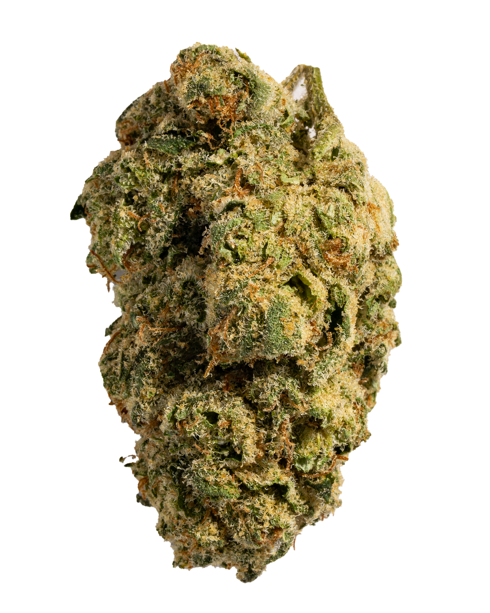 Exotics War Heads cannabis sativa hybrid strain flower