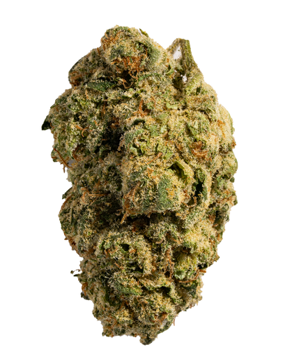 Exotics War Heads cannabis sativa hybrid strain flower