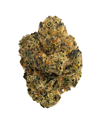 Exotics Yaya sativa cannabis strain flower bud